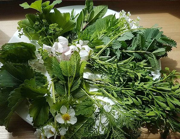 Frische Wildkräuter