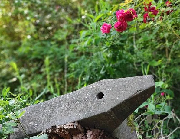 Steinplatte zwischen Pflanzen und Rosen